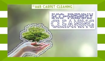 Eco-Friendly Cleaning
